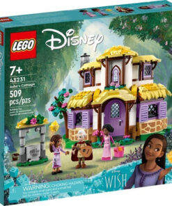 LEGO Disney Princess Asha's Cottage