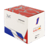 Mini Replica Helmet Max Verstappen 2024