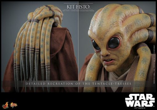 Star Wars Movie Masterpiece Action Figure 1/6 Kit Fisto - Image 12