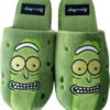 Rick & Morty Παντόφλες